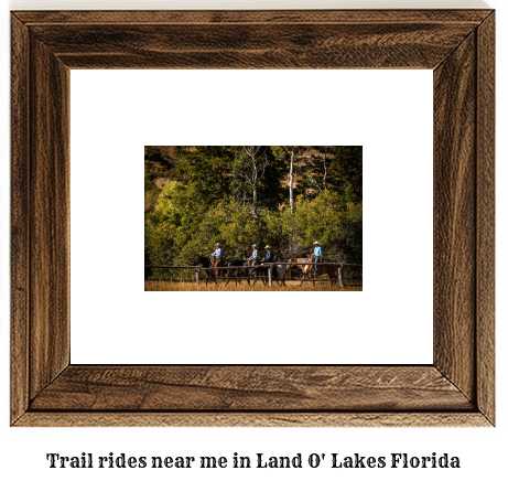 trail rides near me in Land O' Lakes, Florida